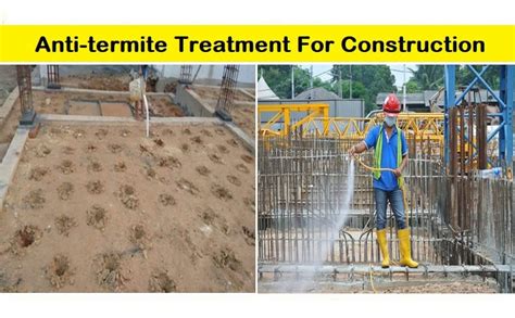 Anti Termite Treatment Methodology Jeremiah Has Hunt