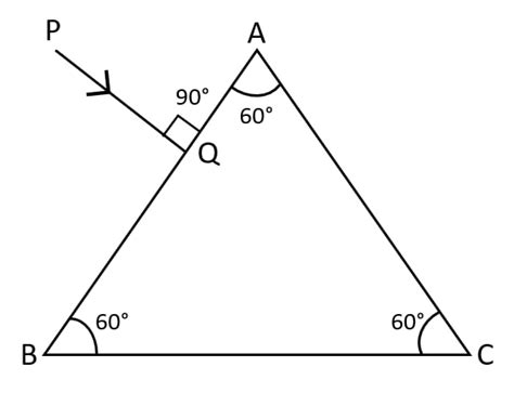 Draw A Neat Labelled Ray Diagram To Show Total Internal KnowledgeBoat