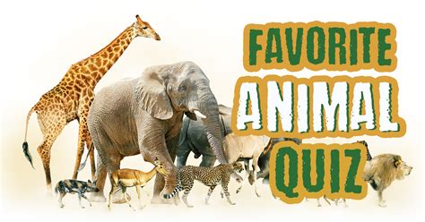 Favorite Animal Quiz - Quiz Result