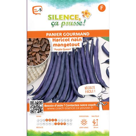 Semences De Haricot Nain Mangetout Purple Queen 150g Bricorama