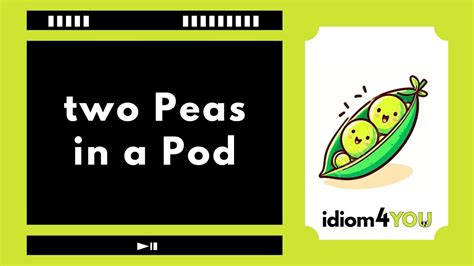 Two Peas In A Pod Idiom Learn English Idioms With Meanings Pictures