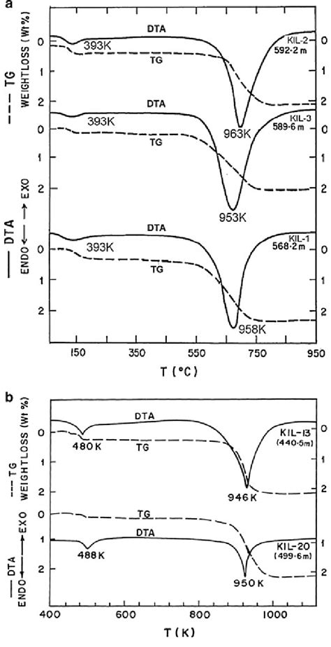 Differential Thermal Analyses Dta And Thermogravimetric Tg Traces