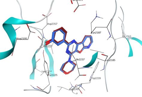 Representation Of The Co Crystallized Inhibitor Blue Docked Into The