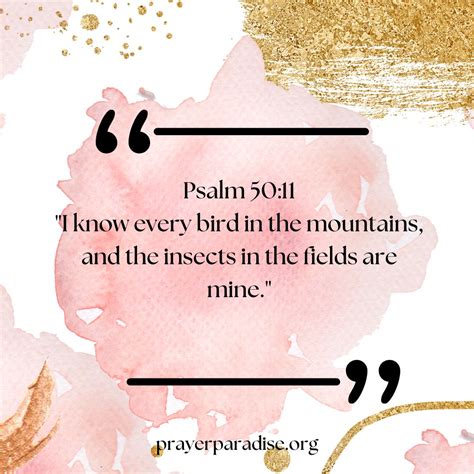 26 Bible Verses About Birds