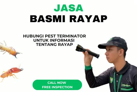 Layanan Jasa Pest Control Terbaik Jakarta Pest Terminator