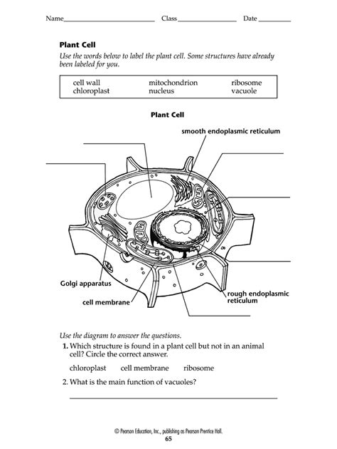 Blank plant cell diagram to label pdf: Fill out & sign online | DocHub