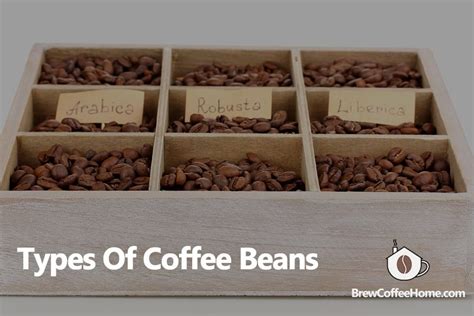 How Many Types of Coffee Beans and Their Characteristics