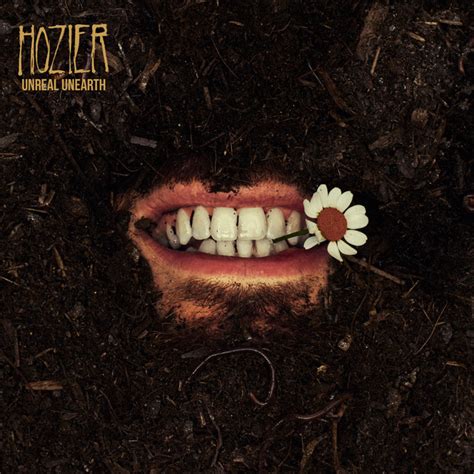 Too Sweet Song And Lyrics By Hozier Spotify