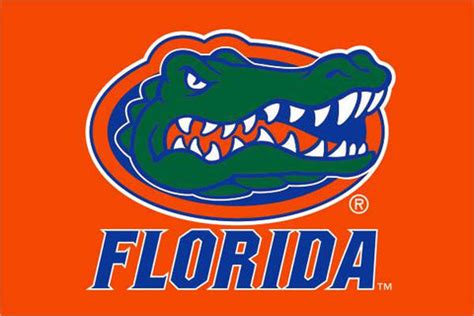 Florida Gators Car Flag – www.gatorstate.com