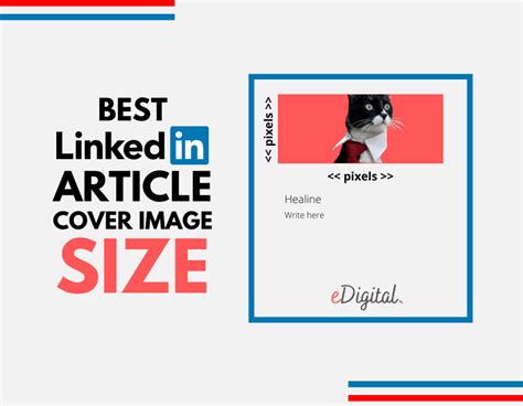 Cover Linkedin Size 2024 Download - Brena Clareta