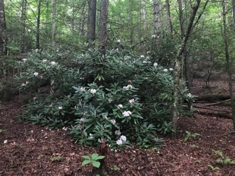 Thumbs Pro Naked Yogi Tumblr Post 175359318393