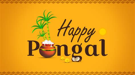 Happy Pongal 2020: Celebrate Pongal with these special messages, wishes ...