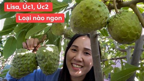 Ăn Mãng Cầu Lisa Úc1 Úc2 Thử Loại Nào Ngon Youtube