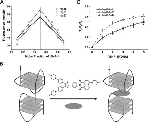 A The Job Plot Analysis For The Binding Stoichiometry Of Iznp To