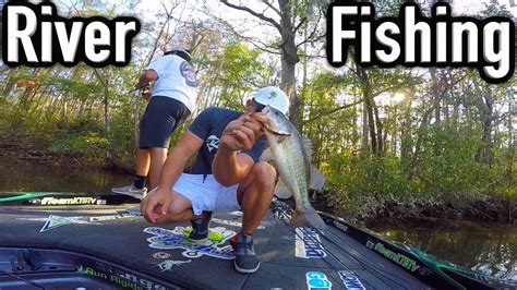 River Fishing For Bass Youtube