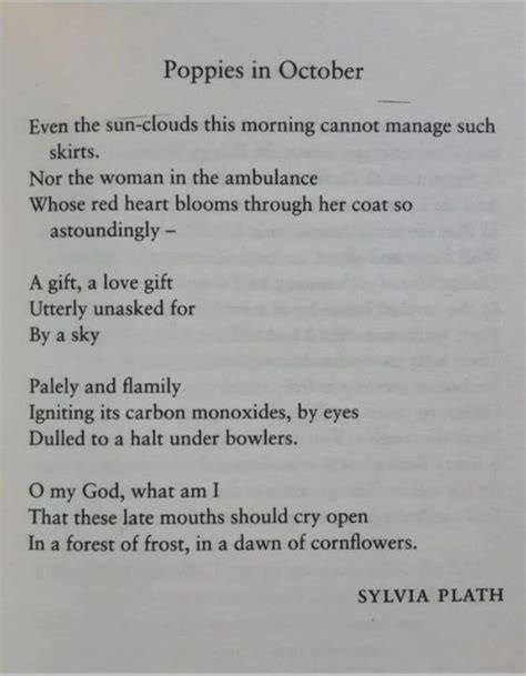 Silvia Plath Poppies Poem Sylvia Plath Poems Sample Poems The Book