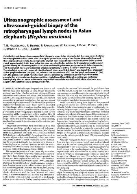 (PDF) Ultrasonographic assessment and ultrasound-guided biopsy of the retropharyngeal lymph ...