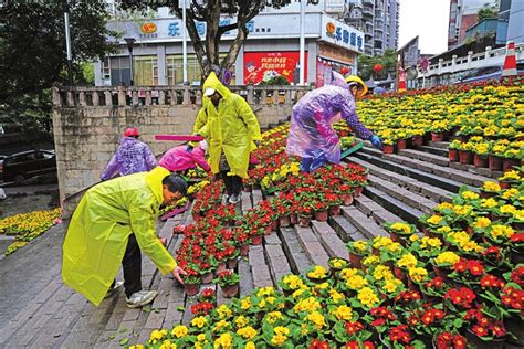 【网络中国节·春节】摆花布景迎新春 武隆网