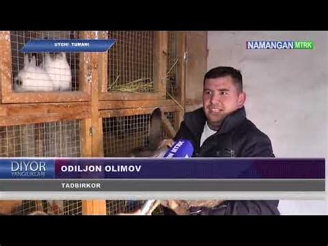 Уйчи туманида хонодонларда узини узи банд килиш буйича парранда ва ...