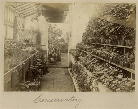 Historic Images from Mount Vernon's Upper Garden · George Washington's ...