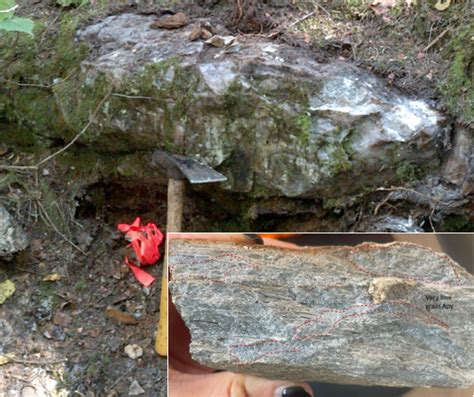 Red Pine Prospecting Confirms Significant Gold Mineralization At The