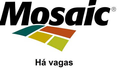 Mosaic Fertilizantes está vagas abertas para atuar em MT MG e SP