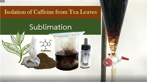 Experiment Isolation Of Caffeine From Tea Leaves Youtube