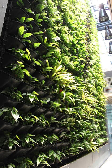 An Incredible 10 Metre X 10 Metre Vertical Garden Modern Landscape