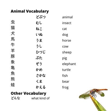 Animal Haiku Kanji What Am I Japanese Script Only