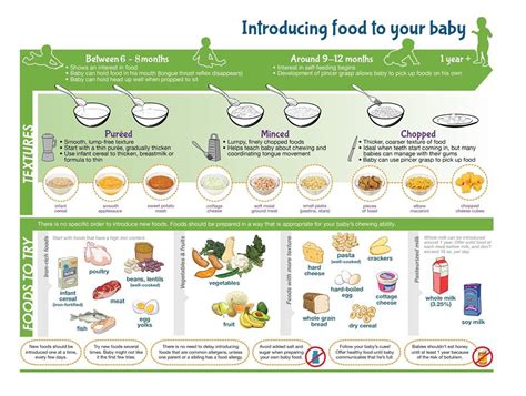 Baby First Foods Baby Feeding Chart Introducing Baby Food