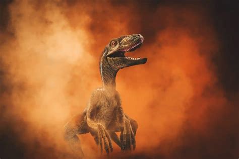 40 Velociraptor Facts About the Great Raptors of Prehistoric Mongolia ...