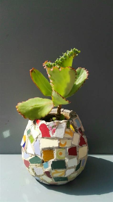 Mosaic Flower Pot And Calanchoe By Ricardo Stefani En Mosaicos