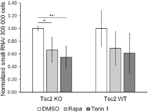 Figure From Tsc Regulates Microrna Biogenesis Via Mtorc And Gsk