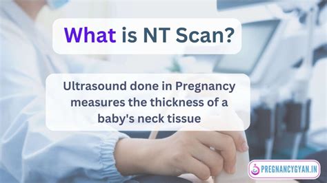 Nt Scan In Pregnancy