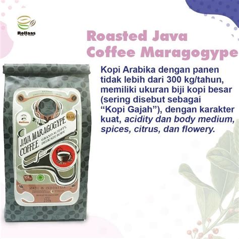 Jual Kopi Arabika Ijen Premium Specialty Maragogype Gr Blue