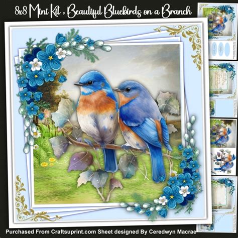 8x8 Mini Kit Beautiful Bluebirds On A Branch CUP1202723 1398