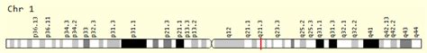 LCE3A Gene GeneCards LCE3A Protein LCE3A Antibody