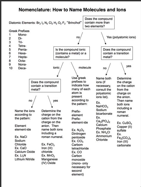 Nomenclature Flowchart Diagram Quizlet