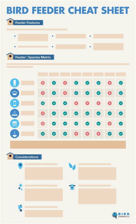 8 Types Of Bird Foods & Which Birds They Will Attract