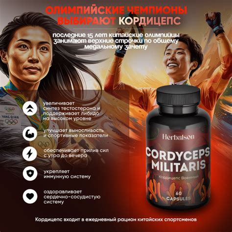 Микродозинг Кордицепс мицелий 60 капсул - купить с доставкой по ...