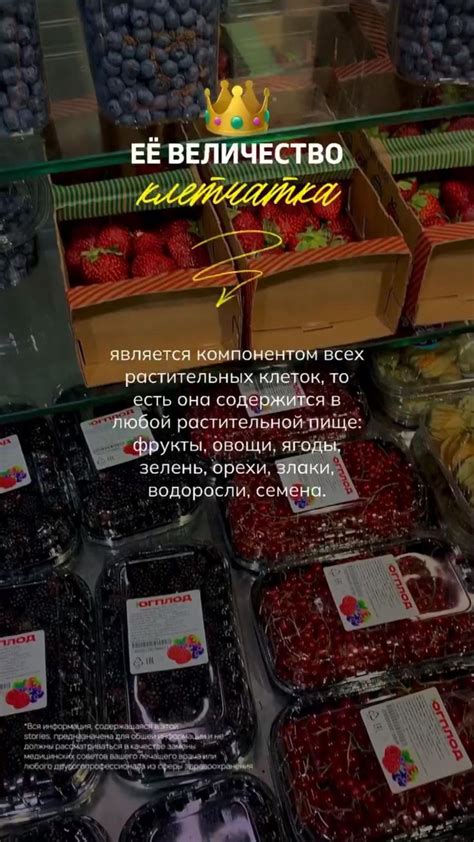 Клетчатка (пищевые волокна): польза для организма, в каких продуктах ...