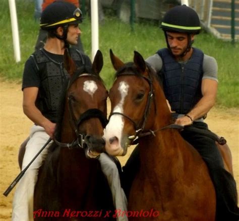 Palio Siena Giugno Ecco La Lista Dei Cavalli Ammessi Dopo La