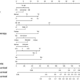 Nomogram For Predicting 1 Year 3 Year And 5 Year Overall Survival Of