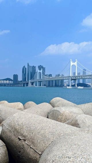 Godavari Arch Bridge in Andhra Pradesh, India : r/bridgeporn