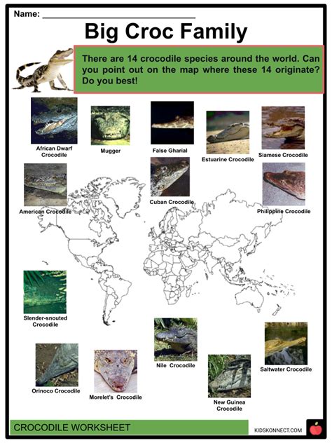 Crocodile Facts Worksheets Species And Habitat Information For Kids