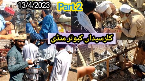 Kallar Syedan Kabootar Mandi Part High Flyer Pigeon Market Vlog