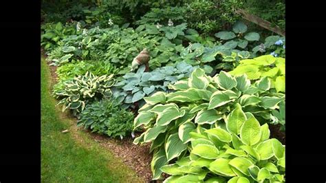 Small shade garden design ideas - Gardening Ace