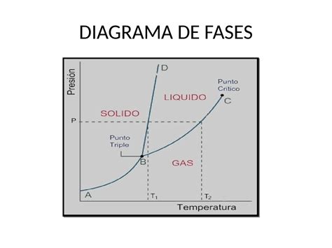 Top Imagen Diagramas De Fase Economia Abzlocal Mx