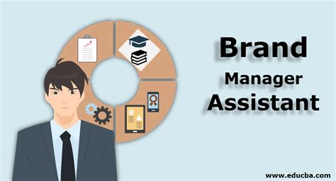 Brand Manager Assistant Education And Skills With Key Points