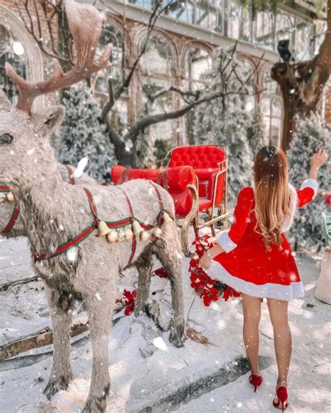 200+ Christmas Aesthetic Vibes — Reindeer & Sleigh - Idea Wallpapers , iPhone Wallpapers,Color ...